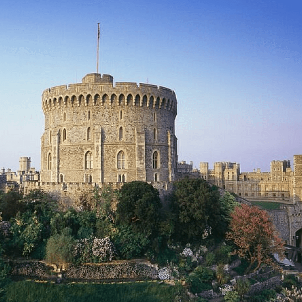 San Francisco Express Never Ceases